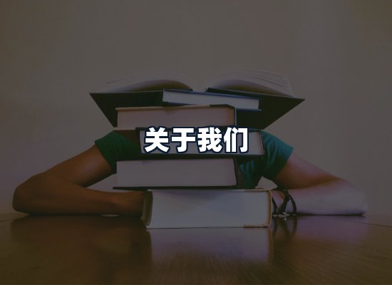 关于我们
